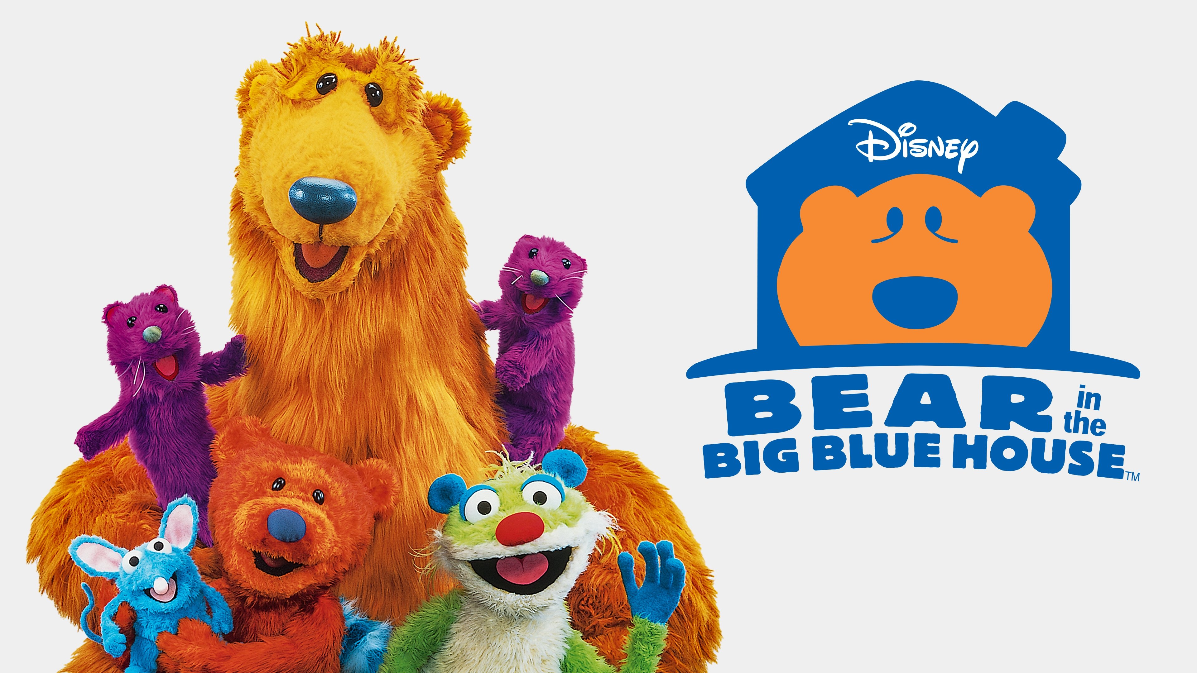 Backdrop for Bear in the Big Blue House