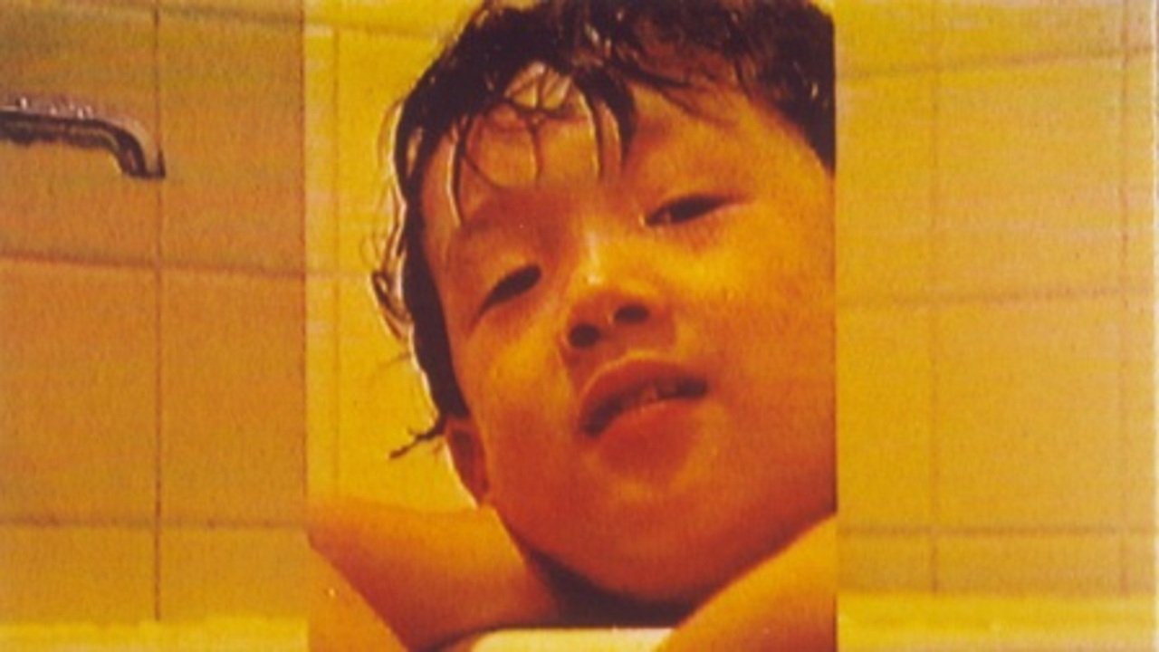 Backdrop for December Hide-and-Go-Seek