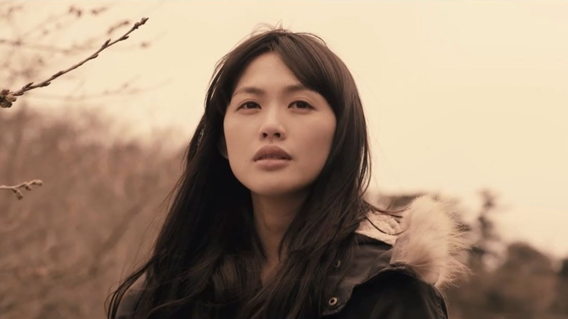 Backdrop for Cold Bloom