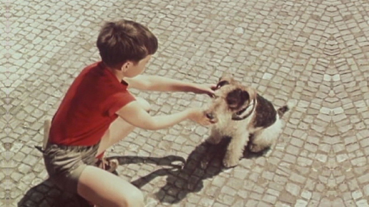 Backdrop for Punta and the Four-Leaf Clover