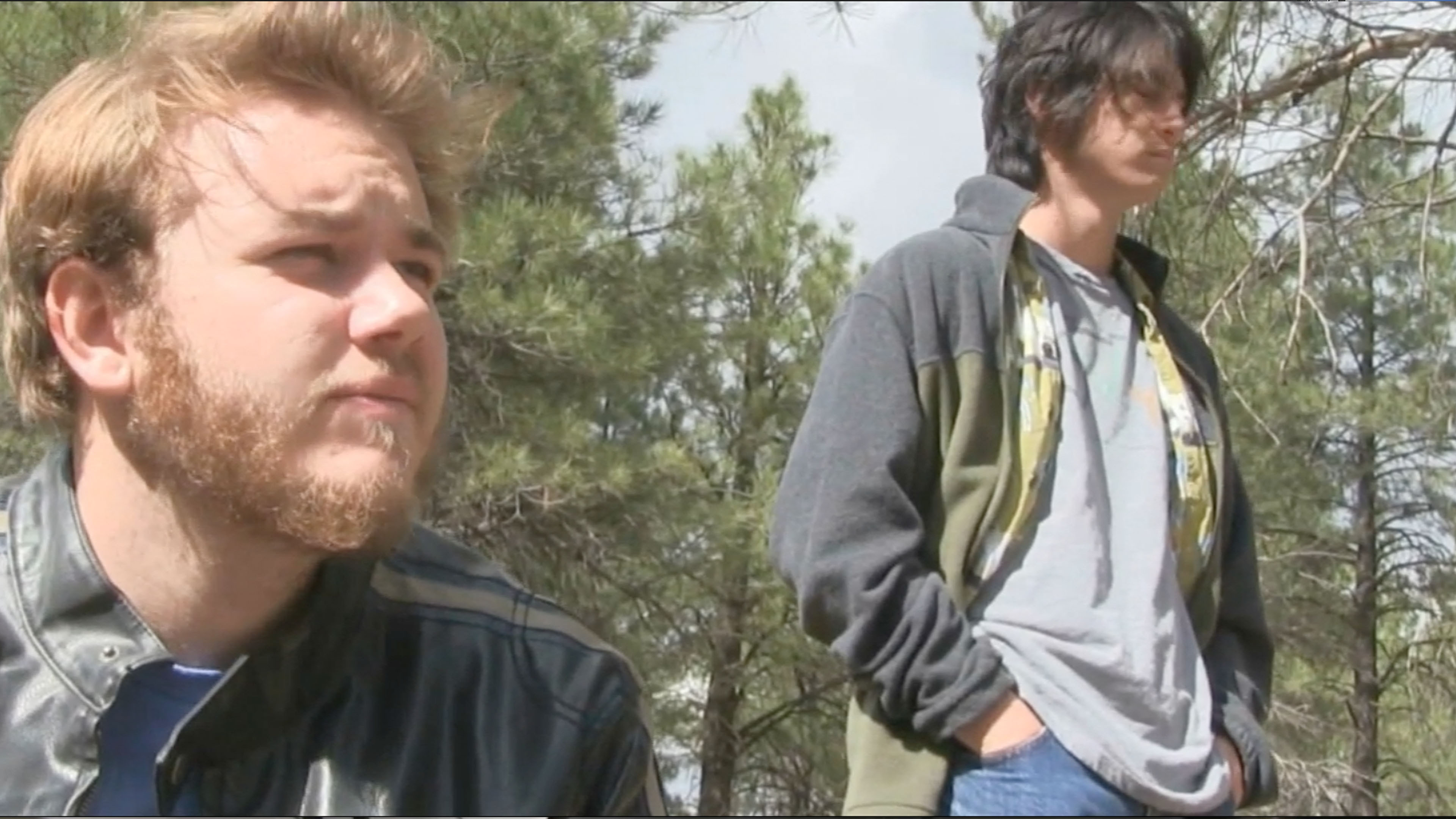 Backdrop for Live Free or Kill Hard