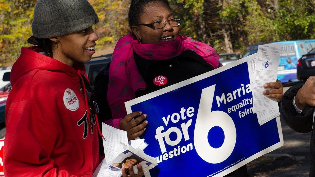 Backdrop for The New Black