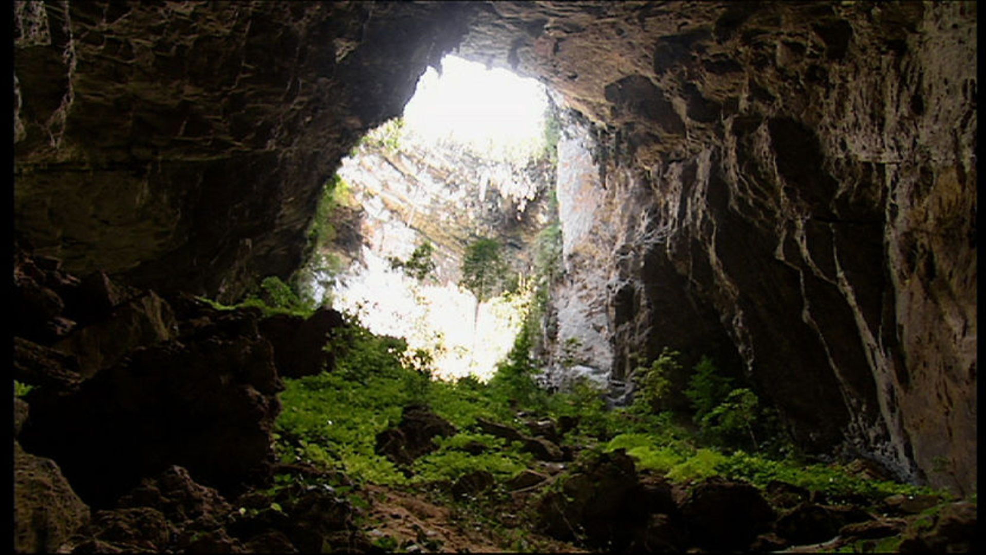 Backdrop for Expedition Borneo