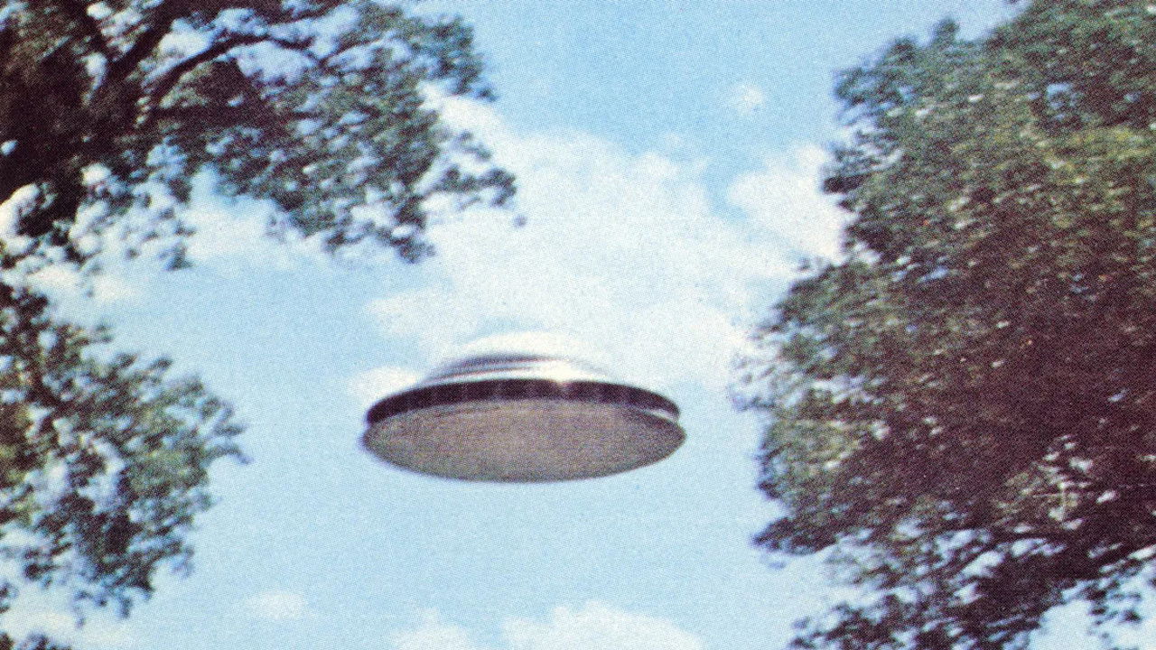 Backdrop for UFO's Are Real