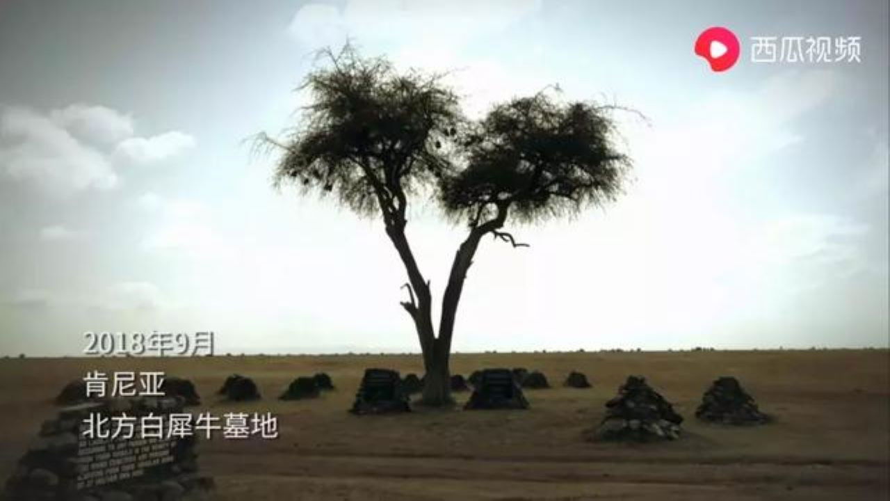 Backdrop for 侣行·翻滚吧非洲