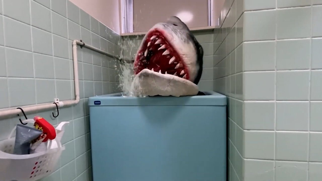 Backdrop for Ido Shark