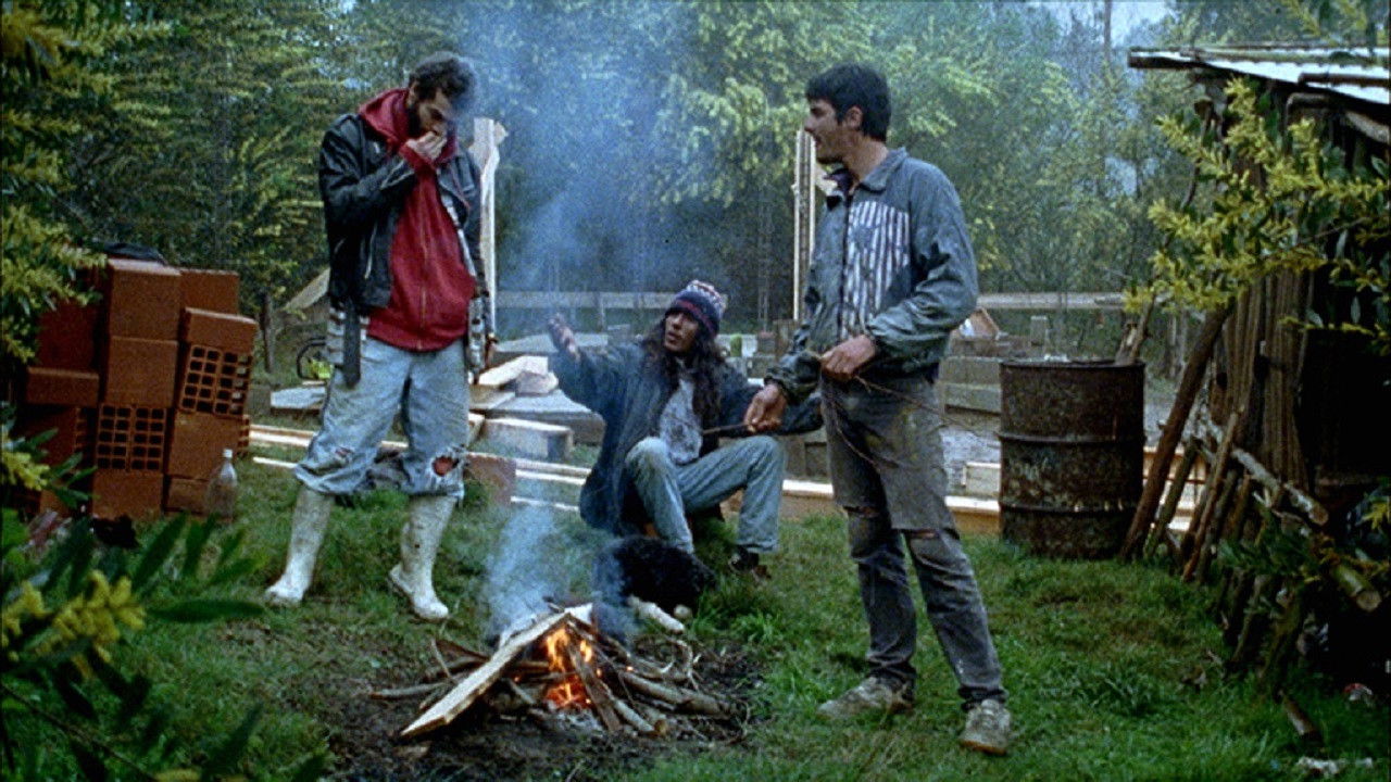 Backdrop for The Dog Pound