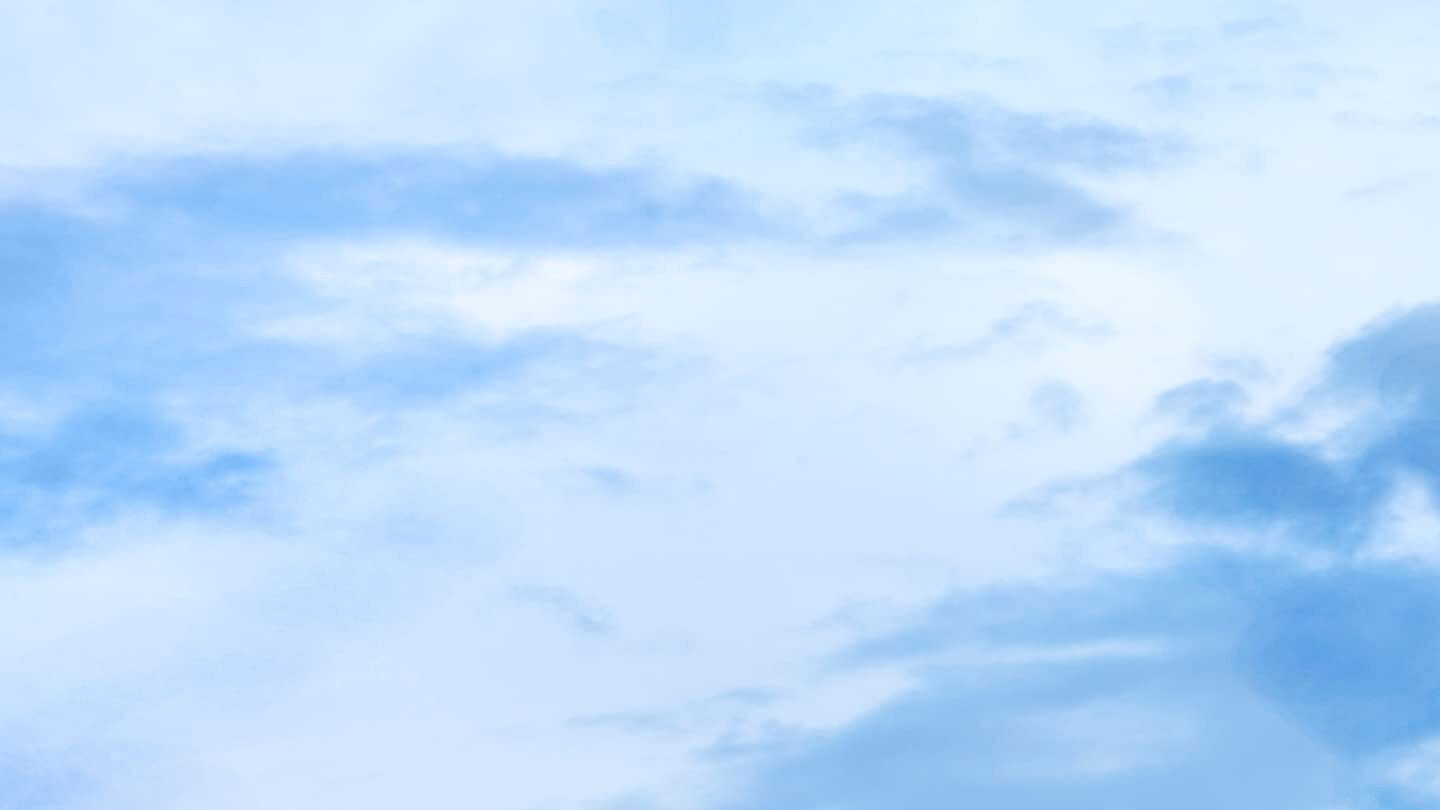 Backdrop for Rosie's Rescue