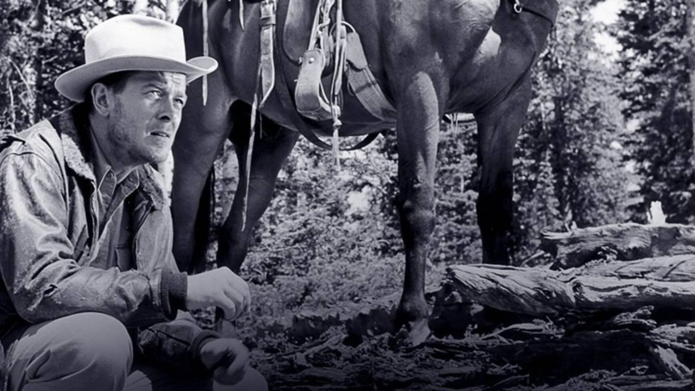 Backdrop for Running Target