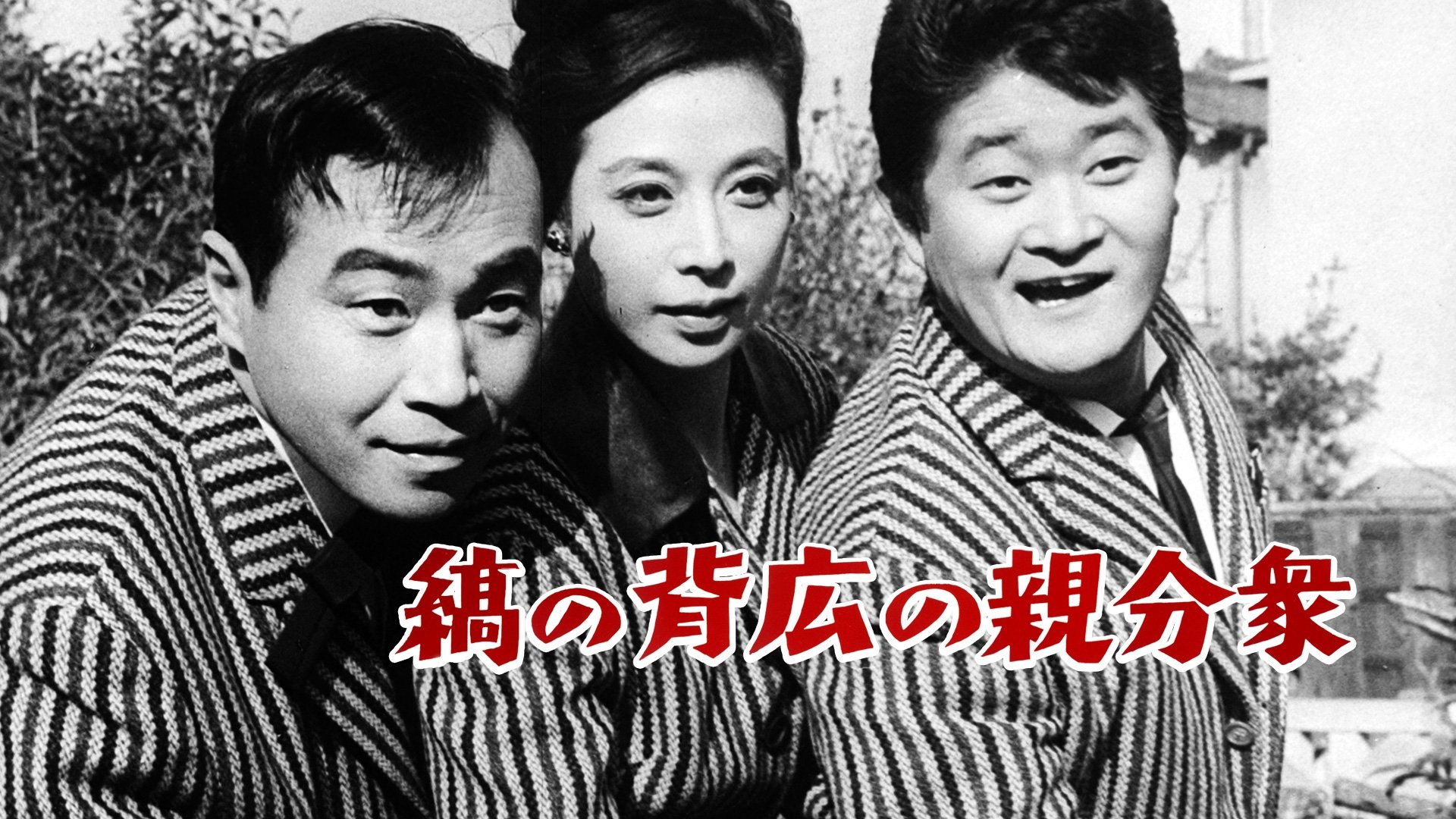 Backdrop for Aces Wild