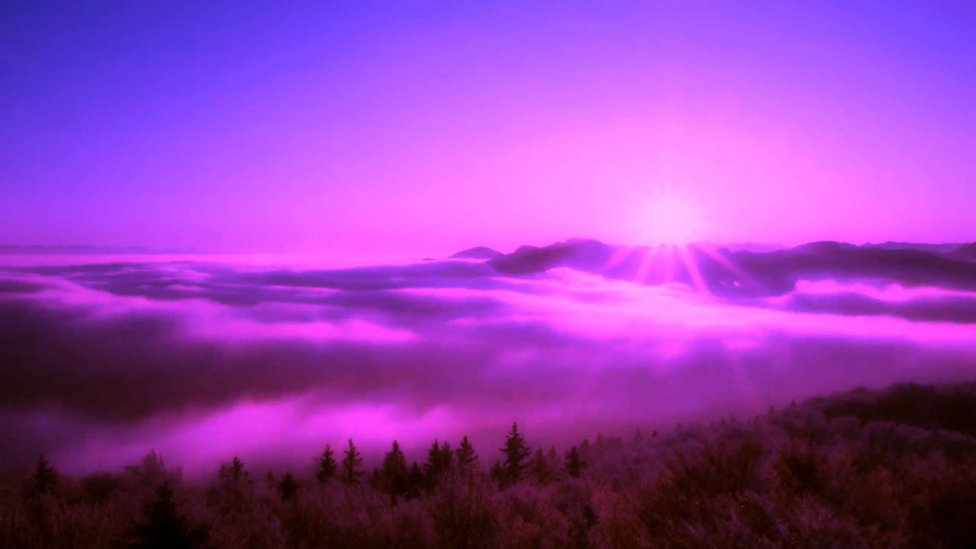 Backdrop for Purple Leone