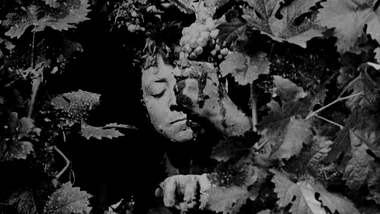 Backdrop for Tríptico elemental de España