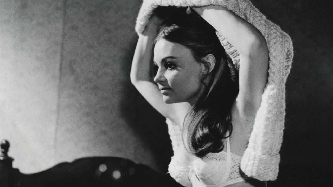 Backdrop for The Dreamers