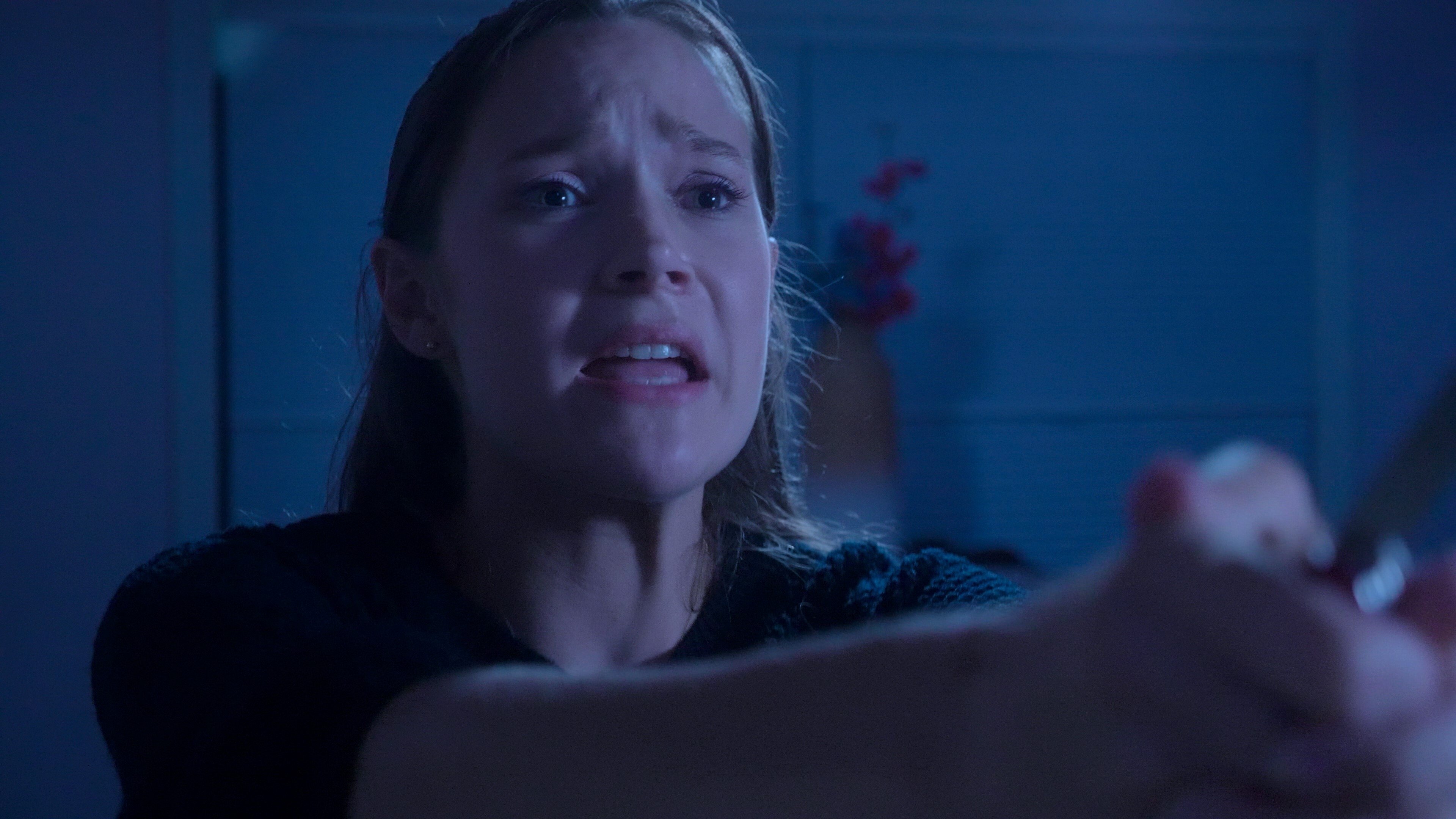 Backdrop for Picture Perfect Lies