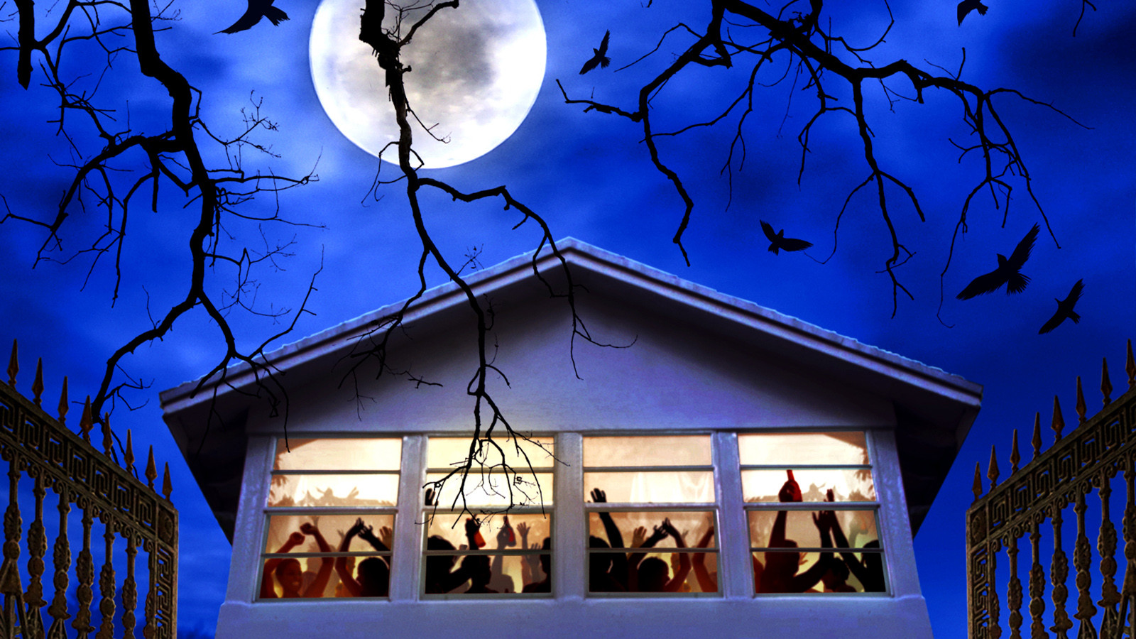 Backdrop for Trico Tri Happy Halloween