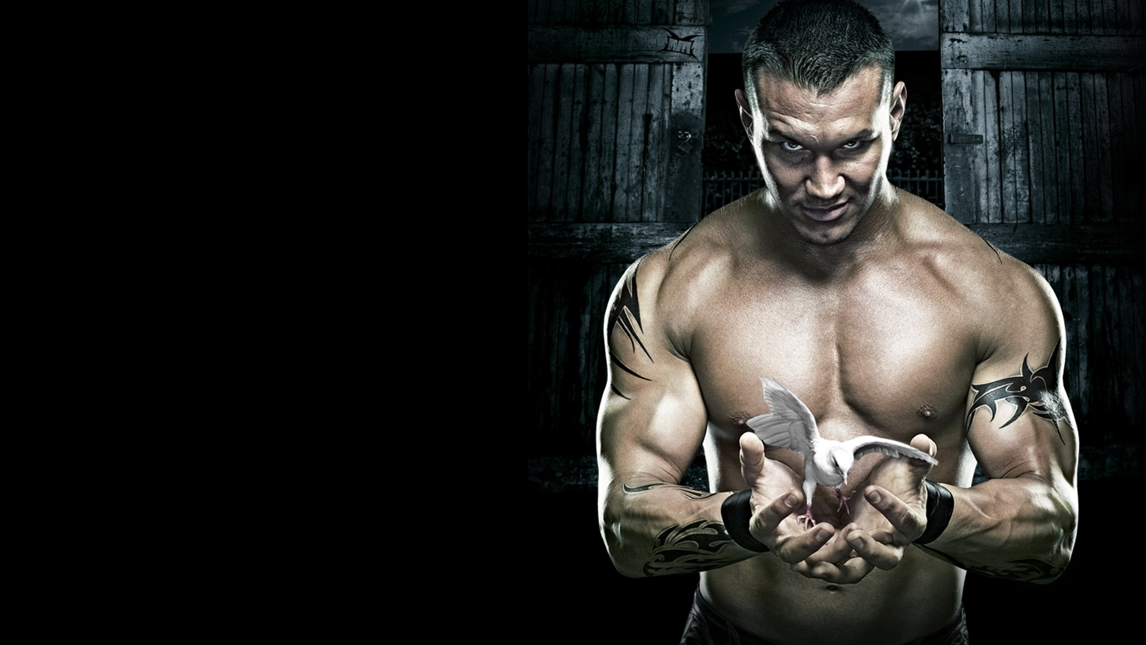 Backdrop for WWE No Mercy 2007