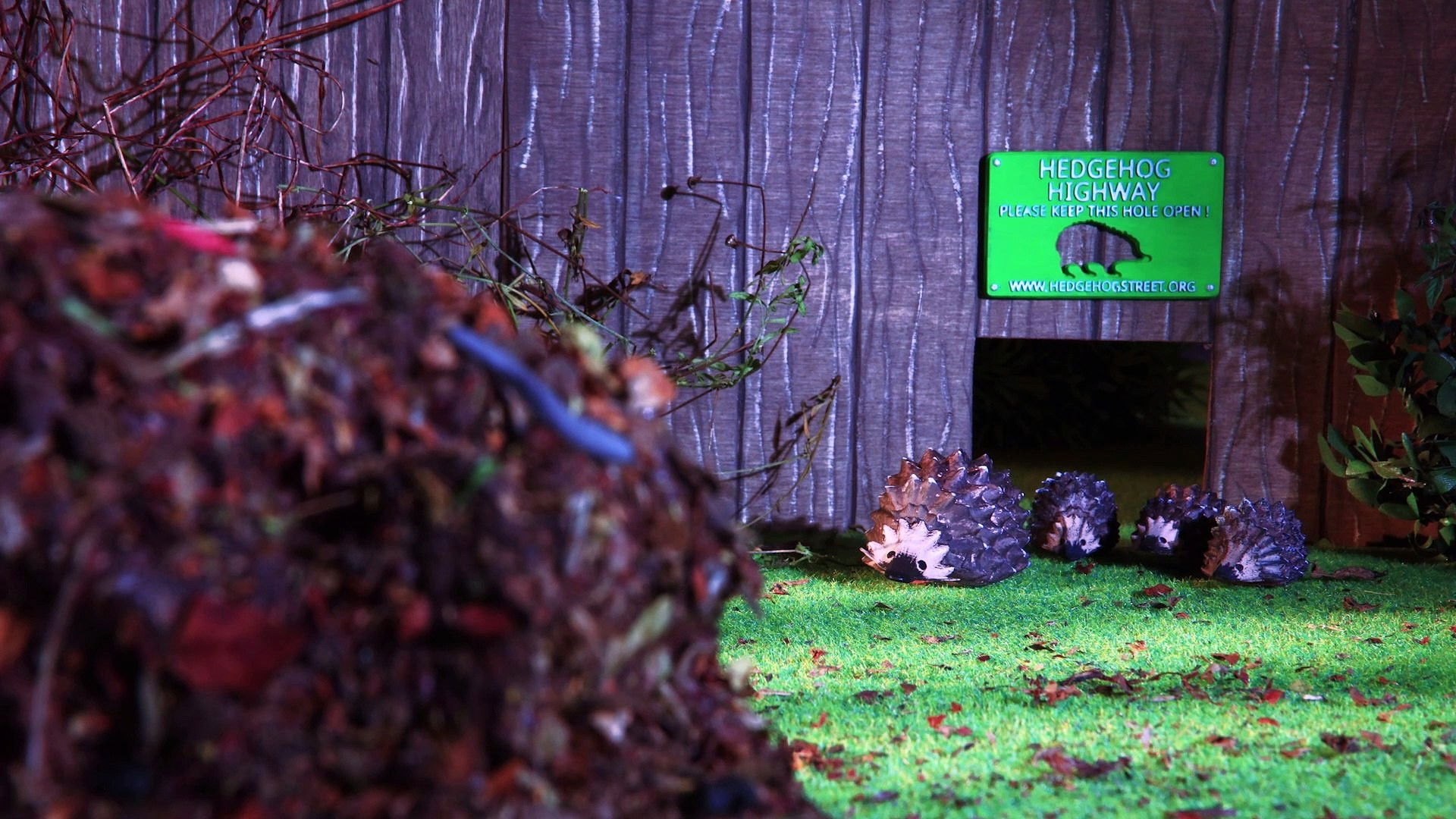 Backdrop for The Littlest Hoglet