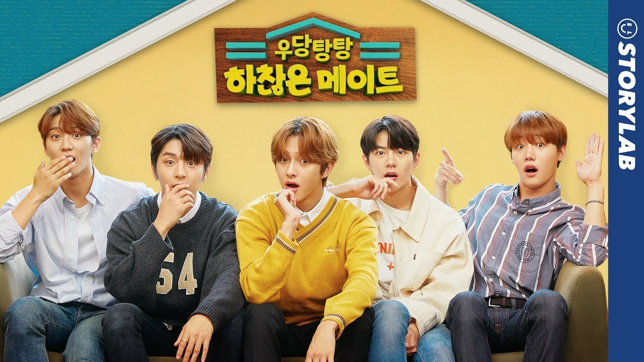 Backdrop for Crazy Petty Housemate