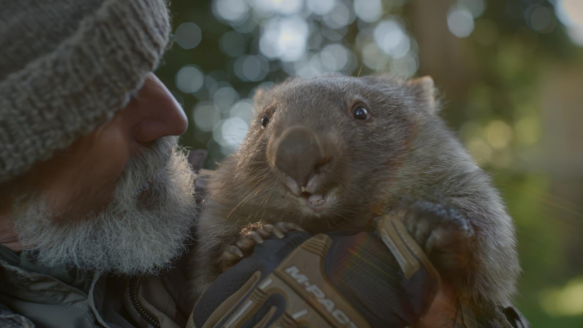 Backdrop for Notre nouveau monde : quand la terre nous surprend