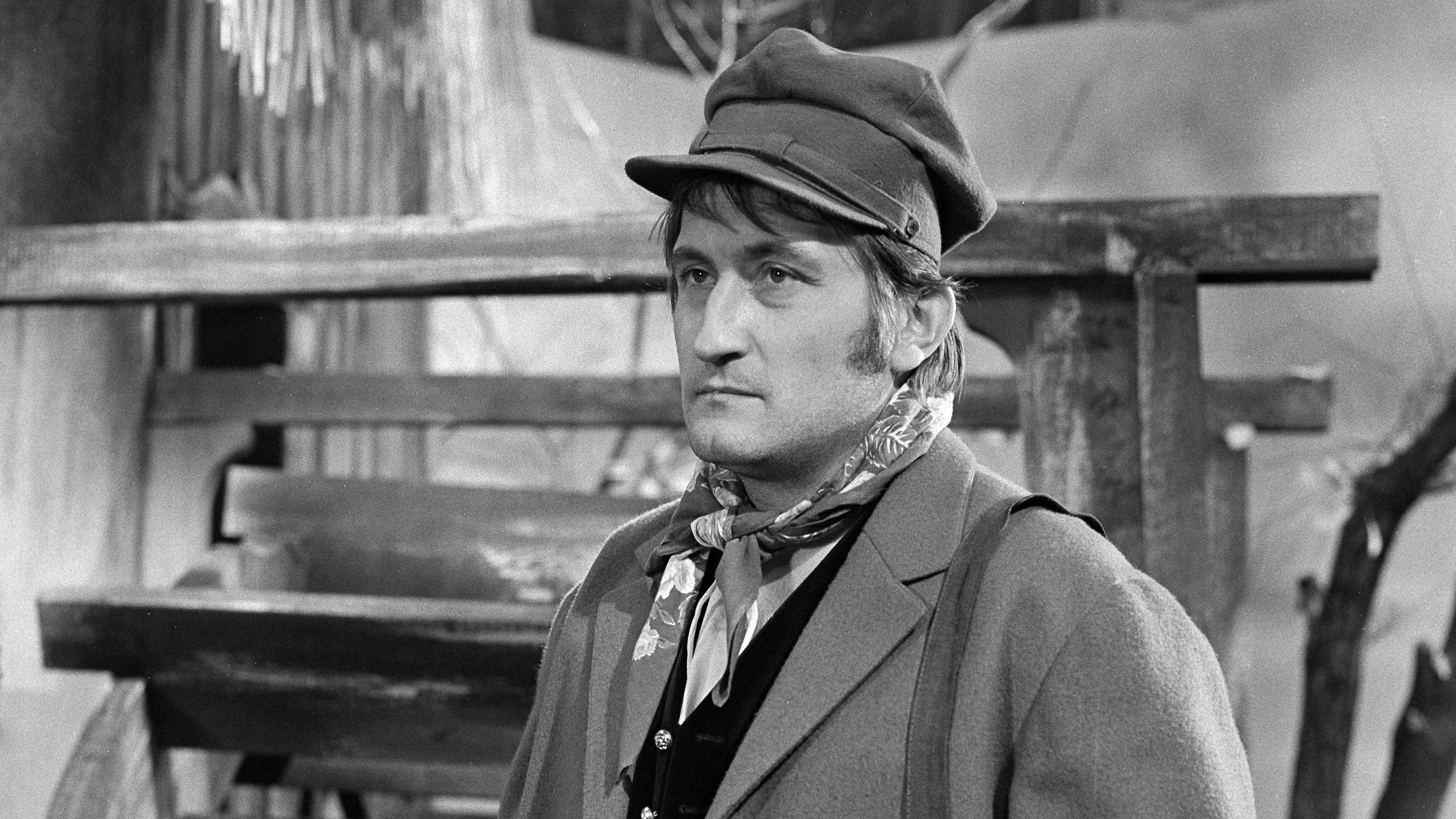 Backdrop for Nejsem chmýrko na bodláku