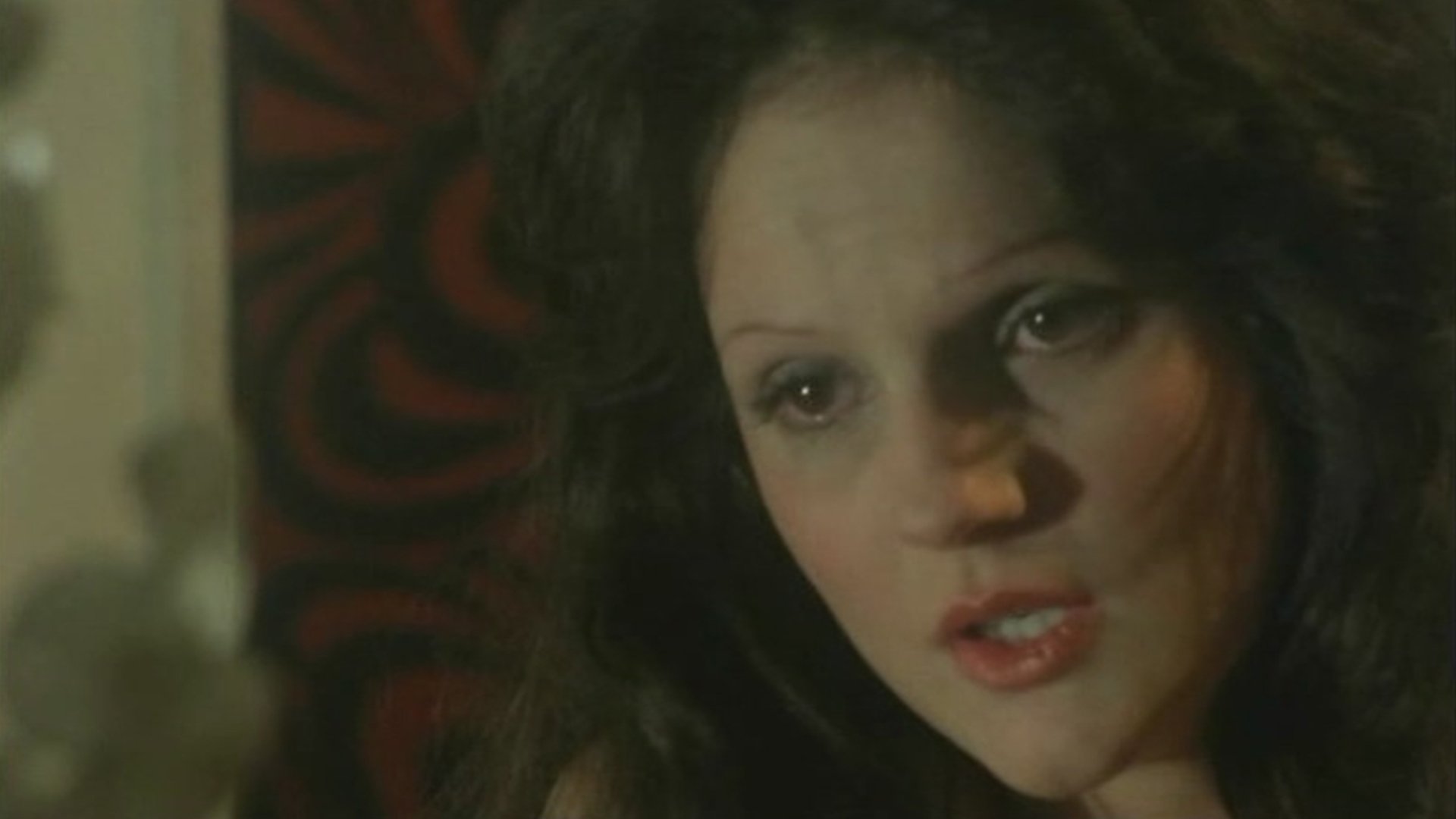 Backdrop for Exhibition