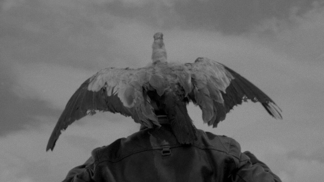 Backdrop for Takanakuy