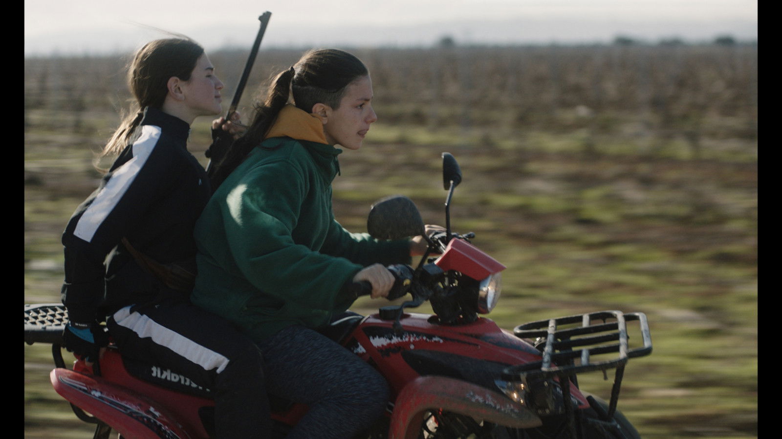 Backdrop for Nights Gone By