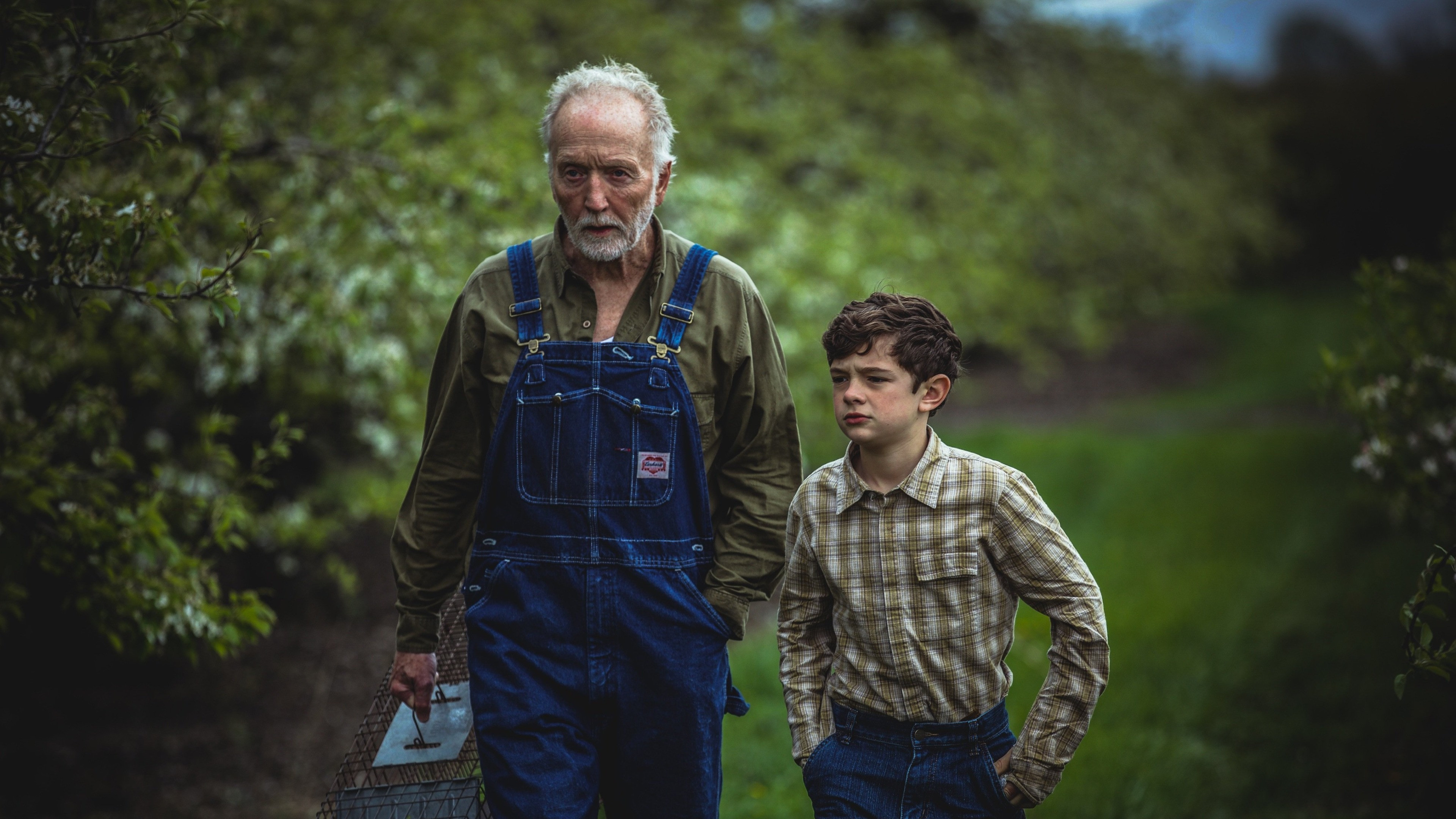 Backdrop for My Pretty Pony