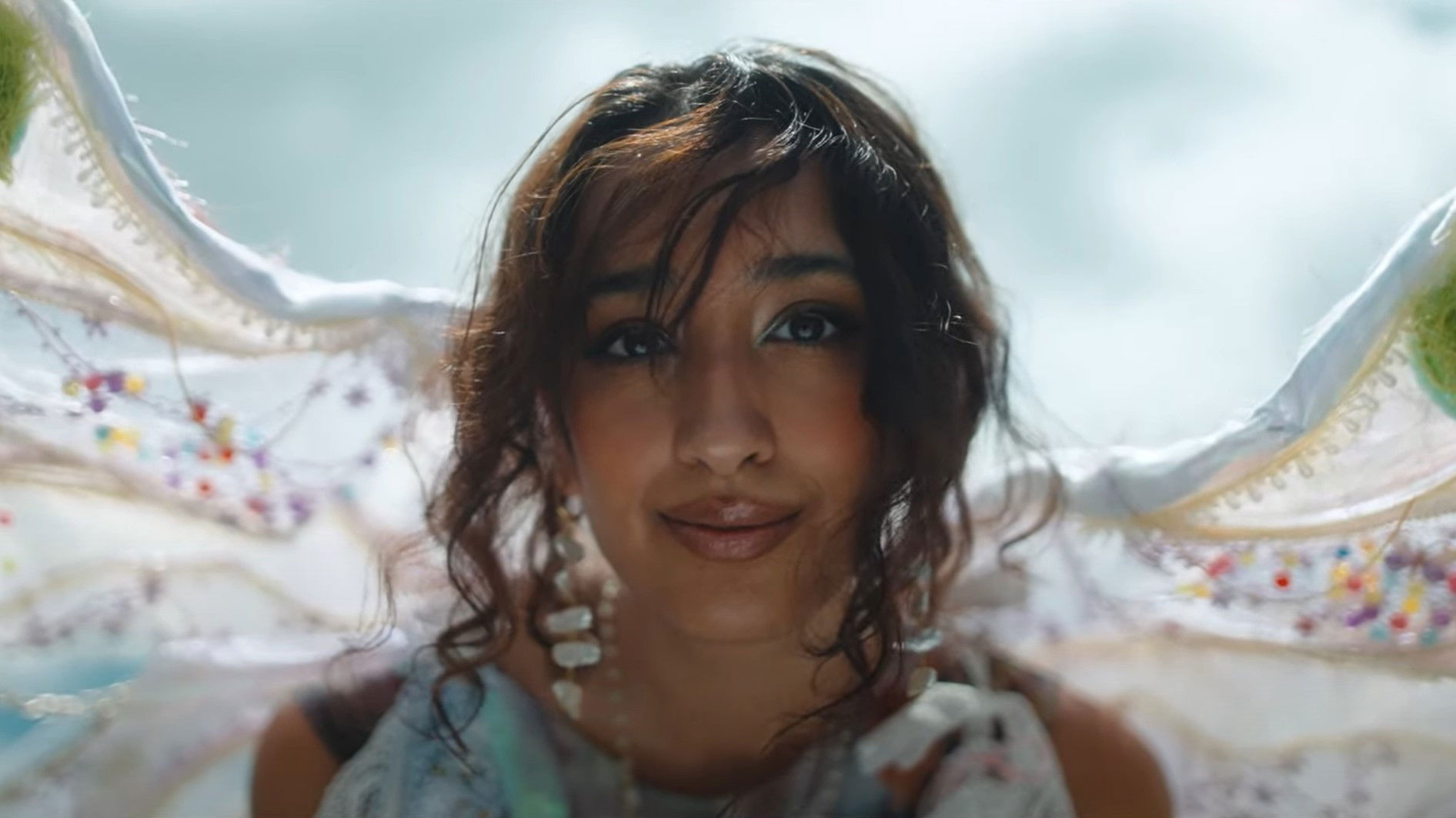 Backdrop for Where The Butterflies Went