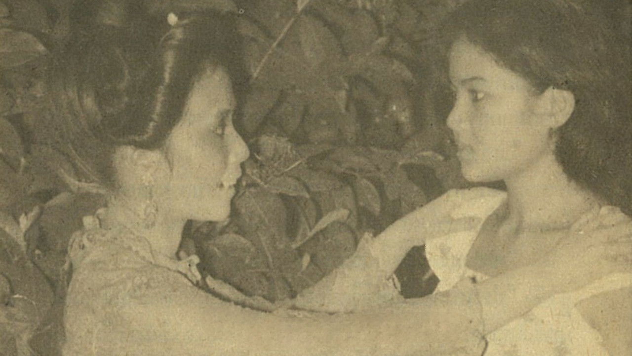 Backdrop for Ghost Tree