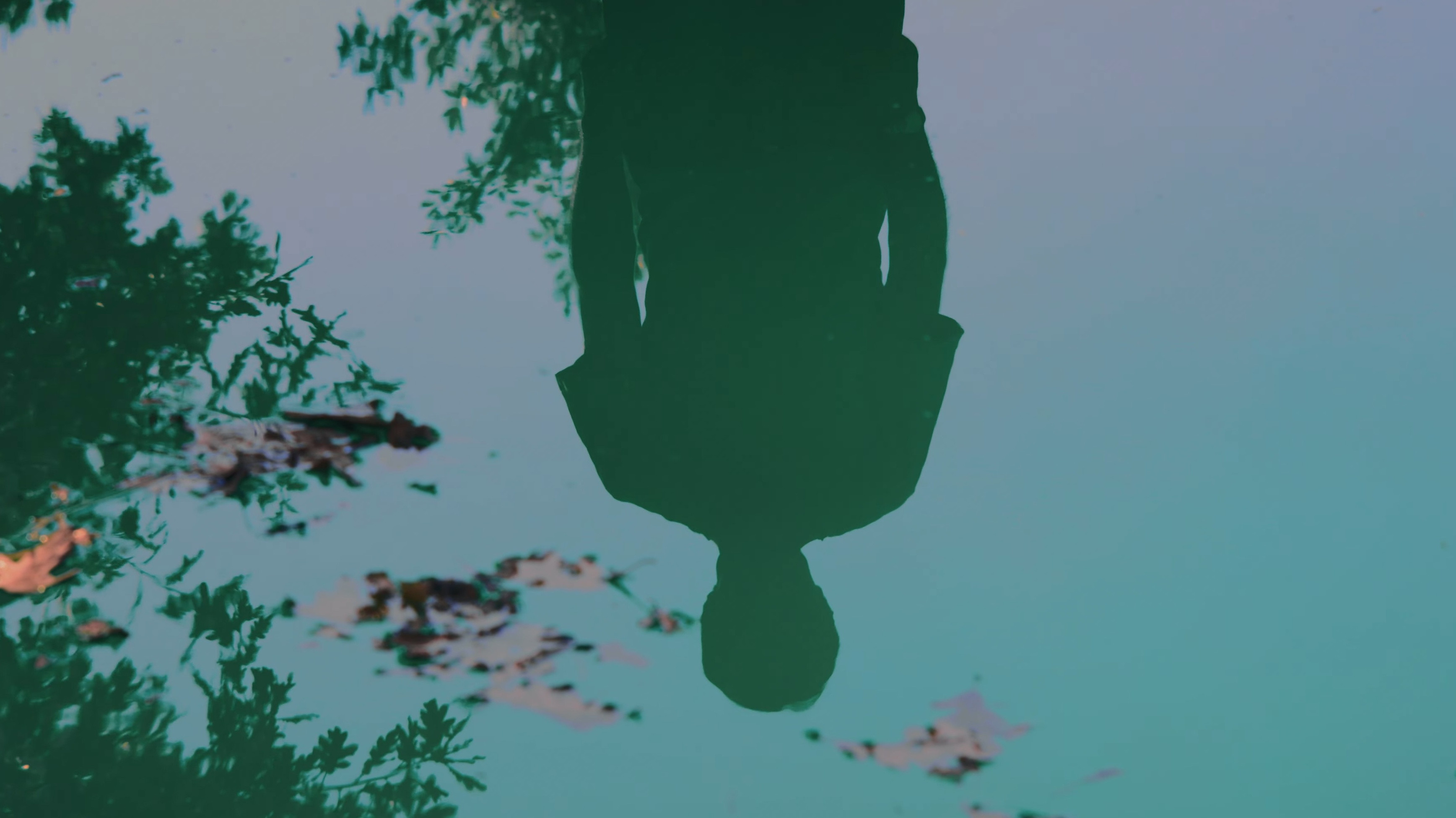 Backdrop for El verano sin fin