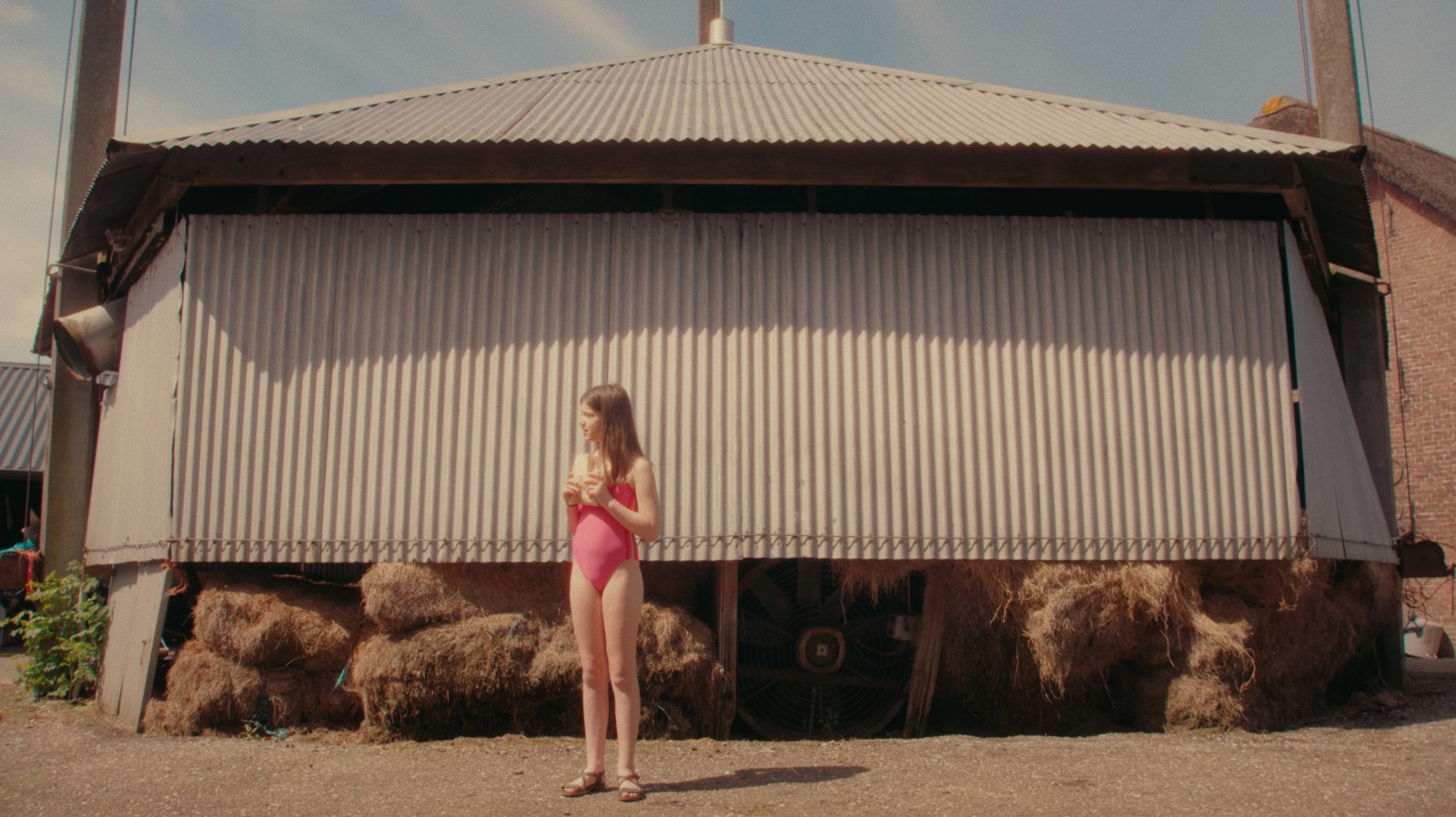 Backdrop for Two Croissants