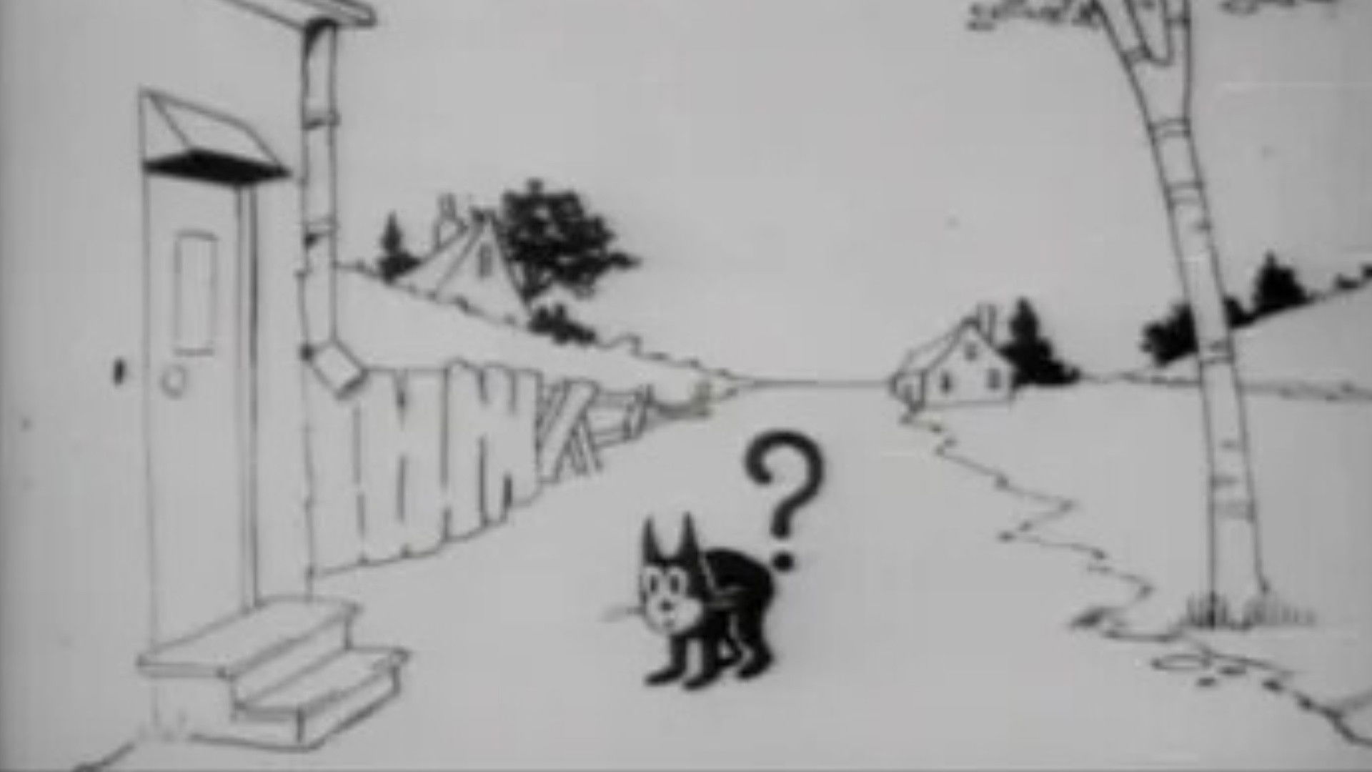 Backdrop for Feline Follies