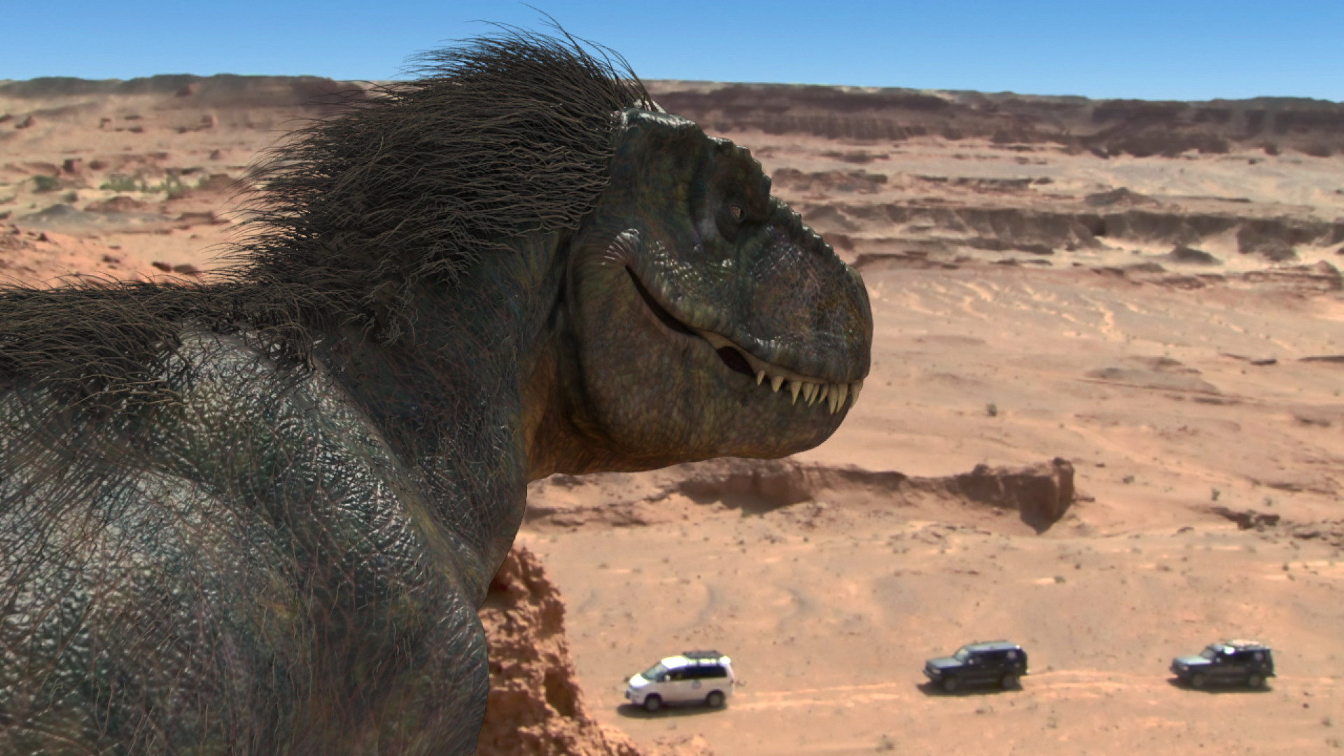 Backdrop for DINO X Adventure Squad