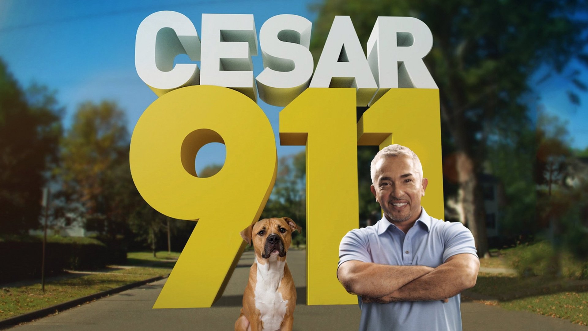 Backdrop for Cesar 911