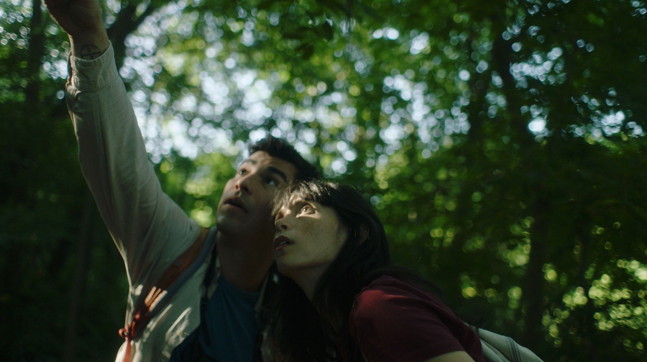 Backdrop for A Bird Came Down