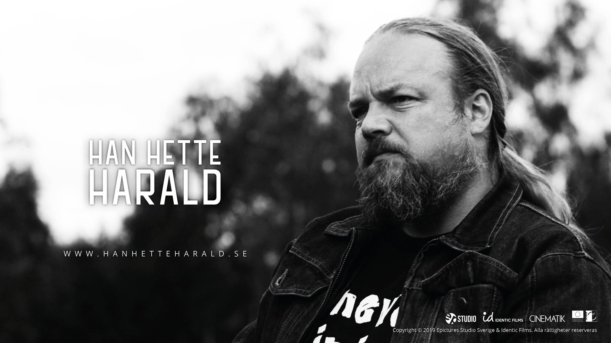 Backdrop for His Name Was Harald