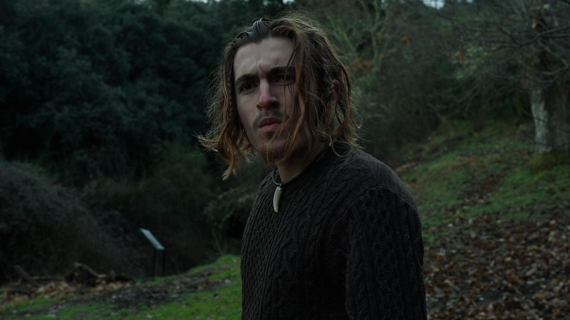 Backdrop for Santa Compaña