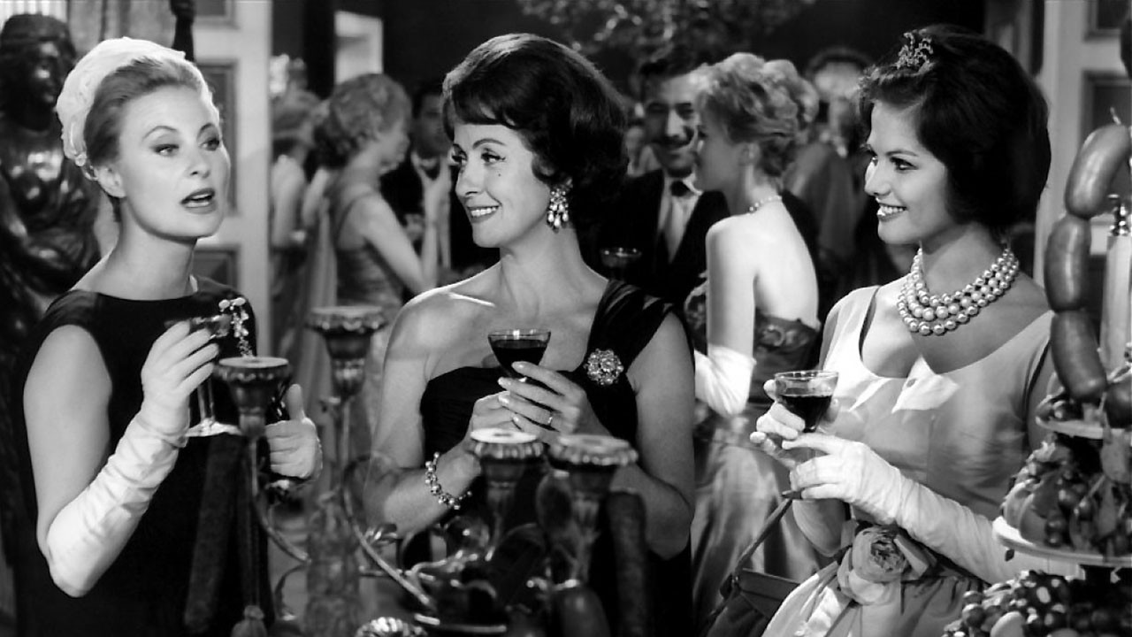 Backdrop for The Lions Are Loose