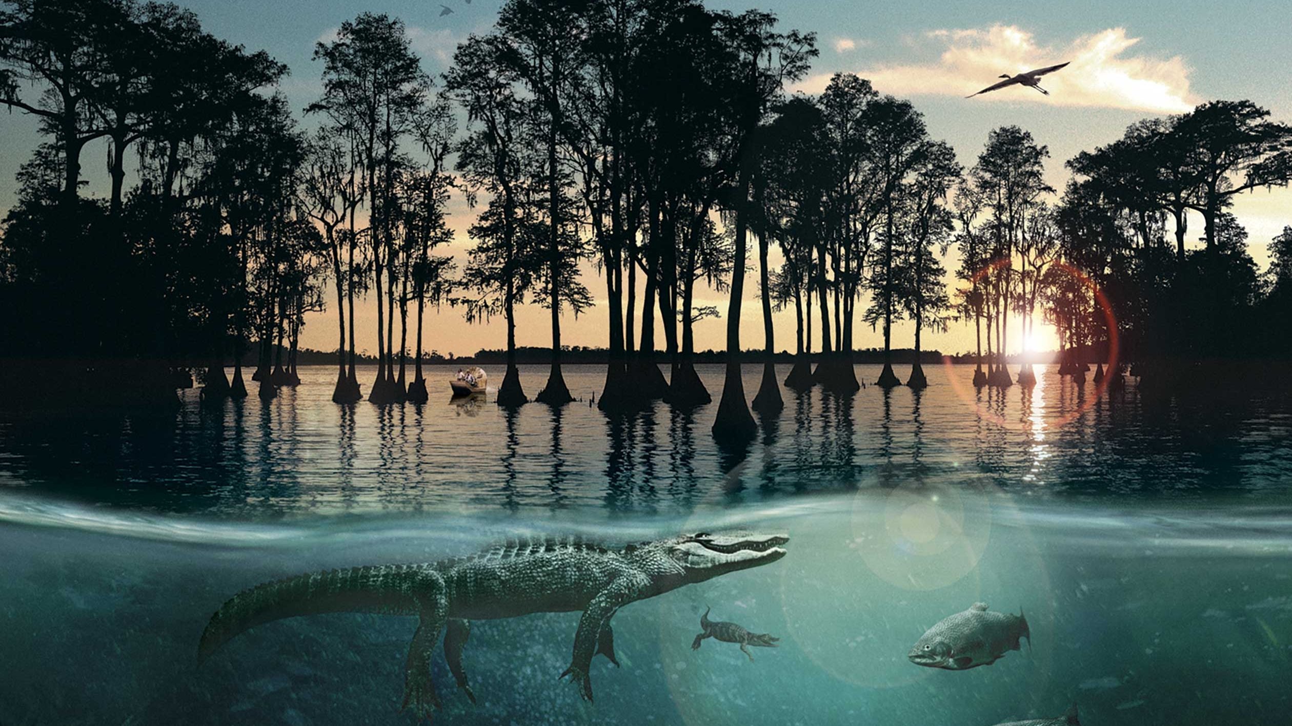 Backdrop for Hurricane on the Bayou