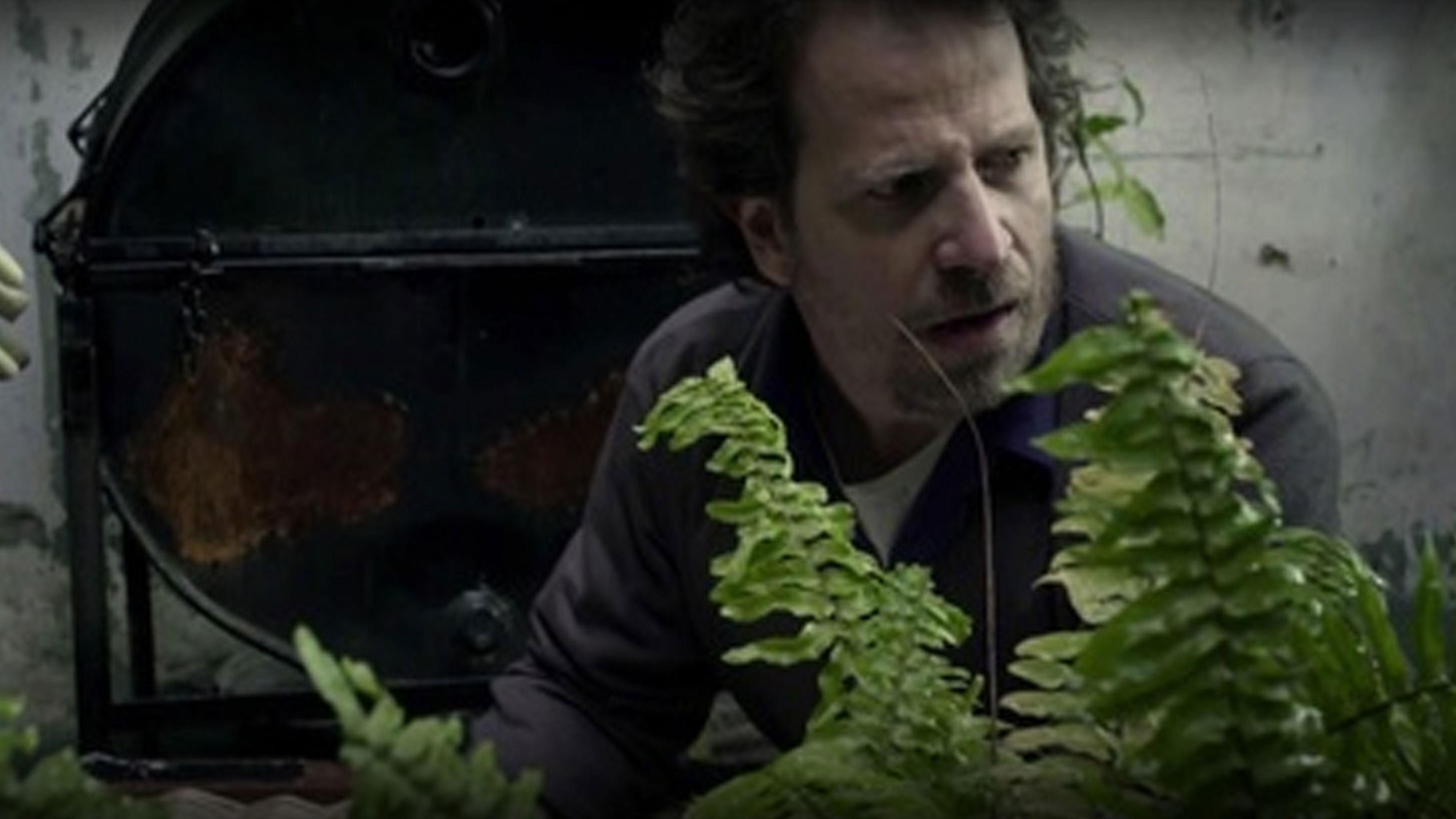 Backdrop for Vendido