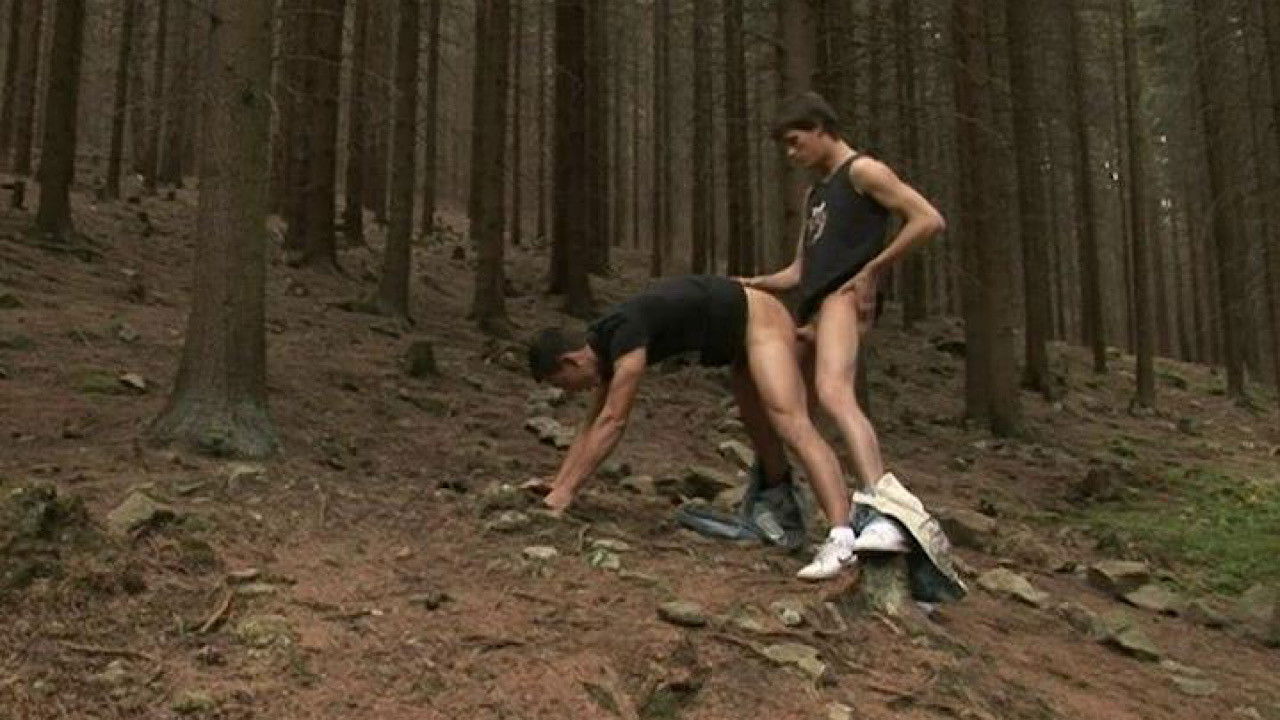 Backdrop for Boys in the Woods