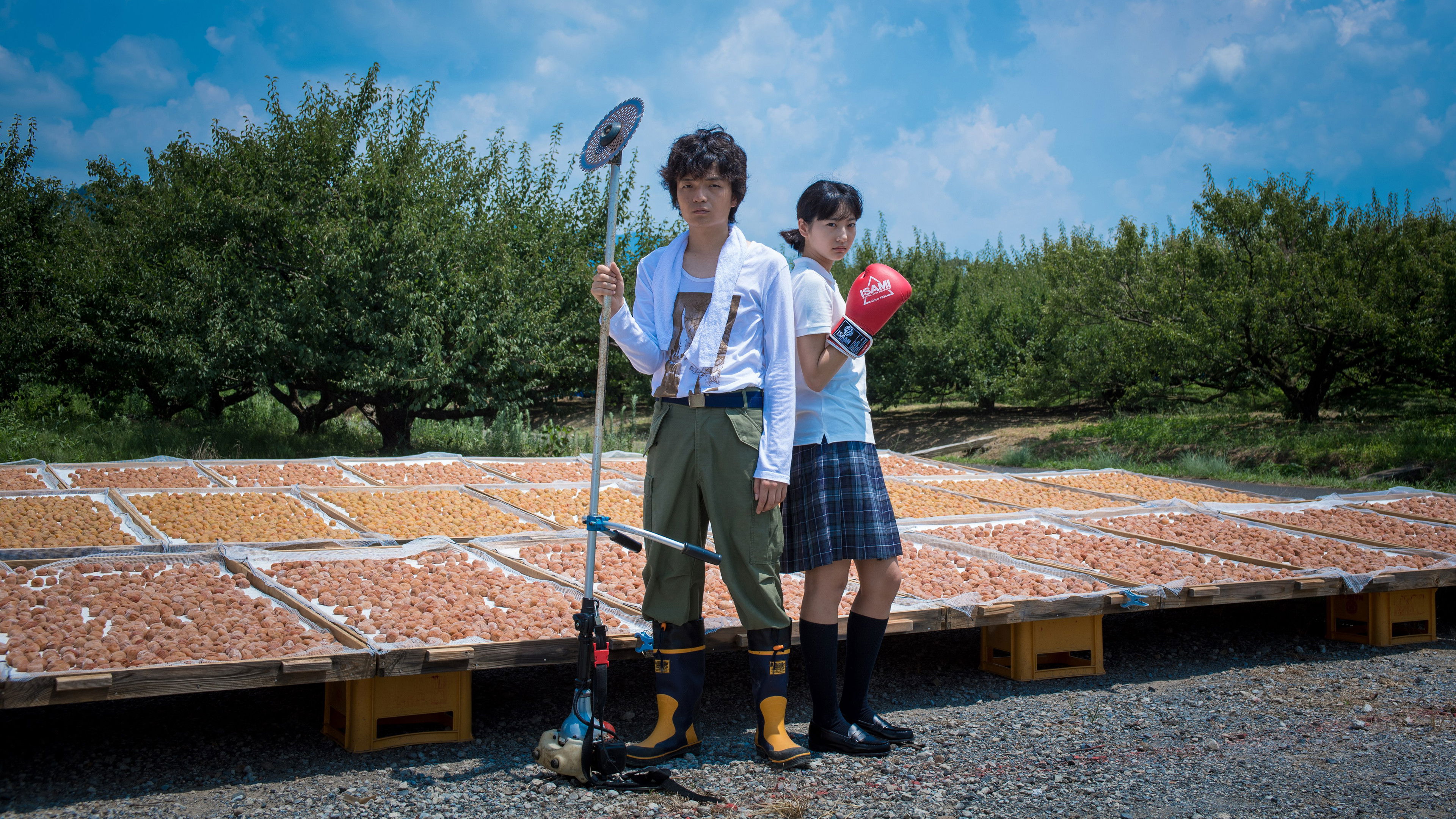 Backdrop for Poetry Angel