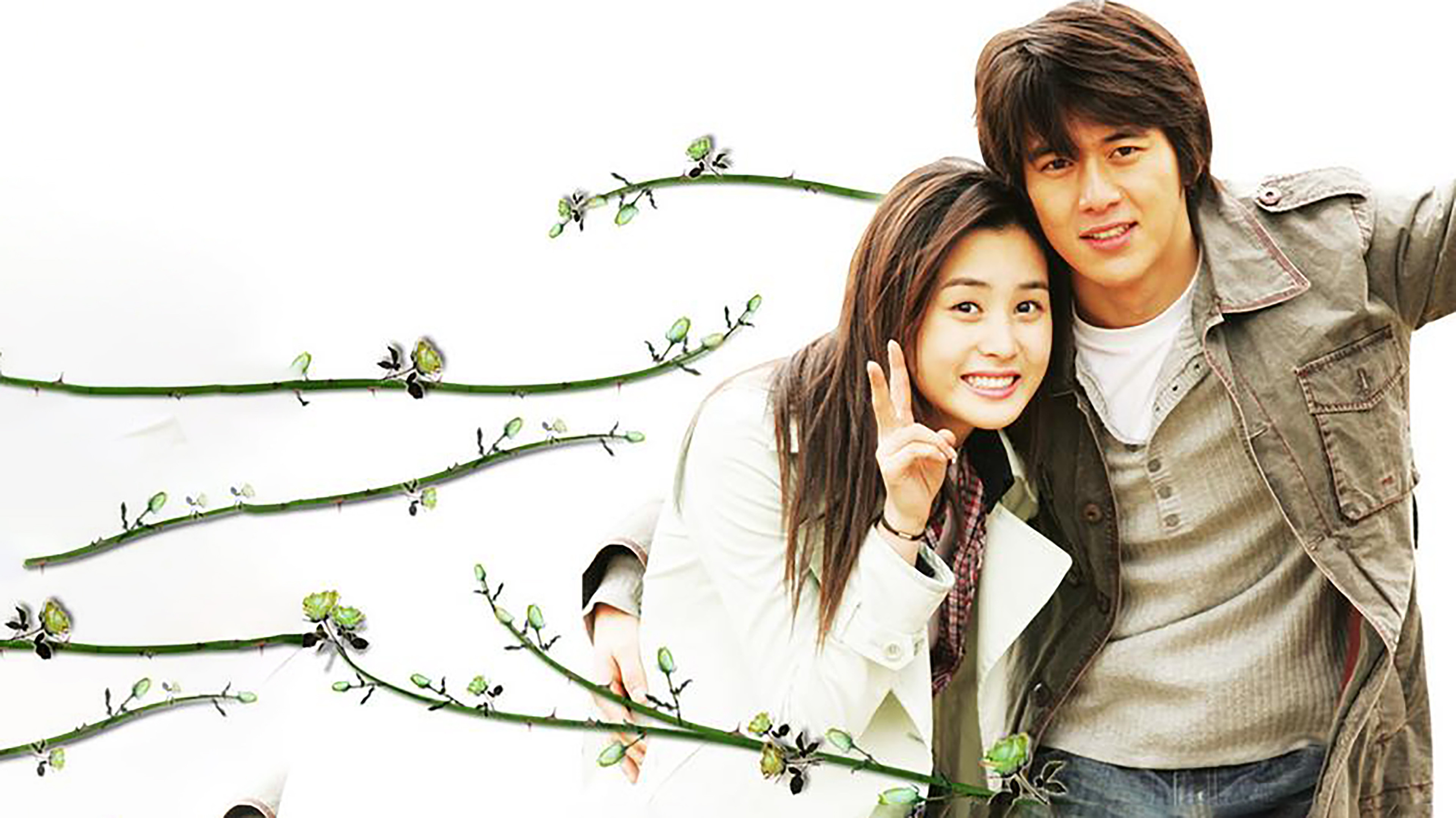 Backdrop for Green Rose