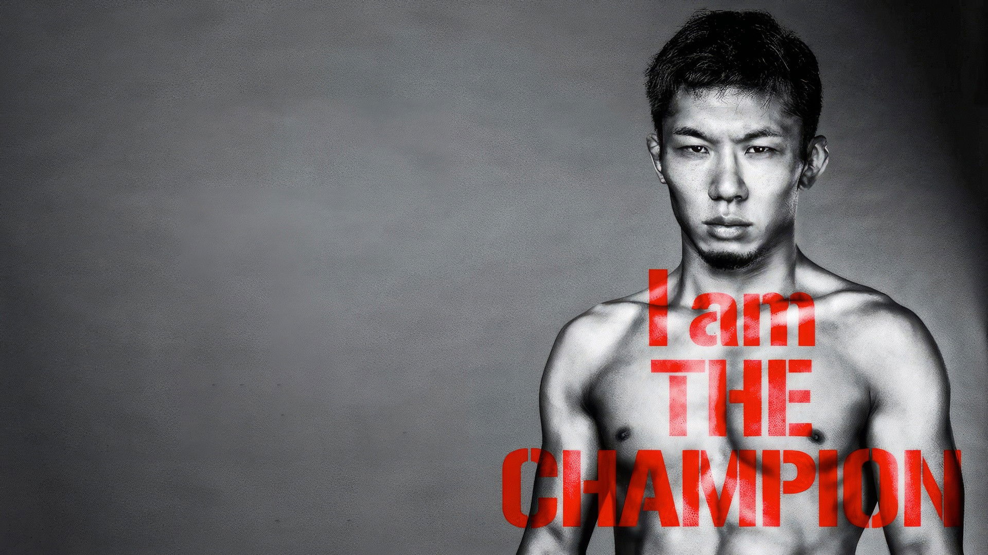 Backdrop for RIZIN 31