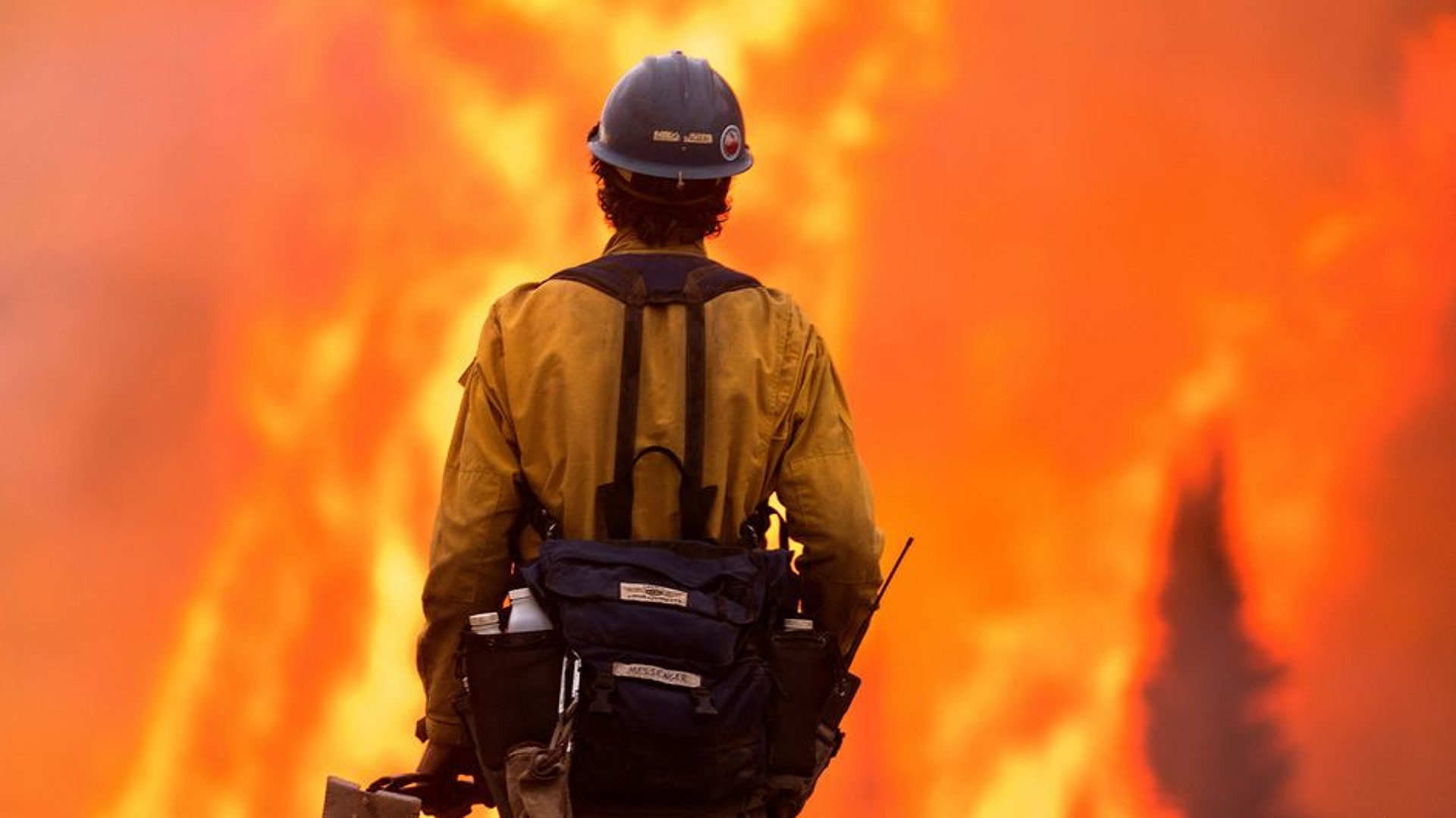 Backdrop for Megafires: The Global Threat