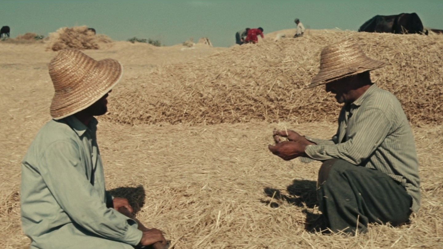 Backdrop for Golden Parable