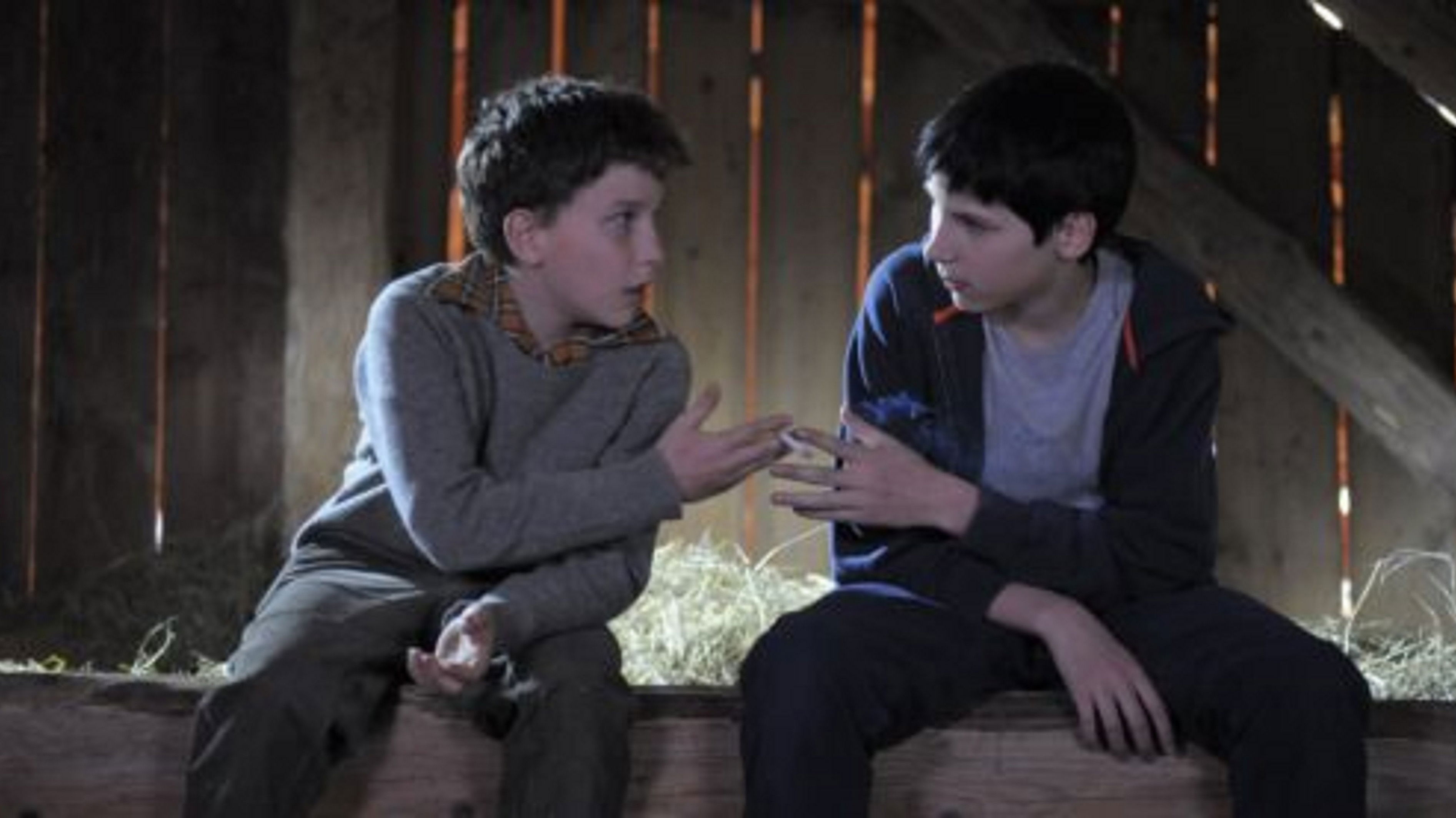 Backdrop for Duck Hunting