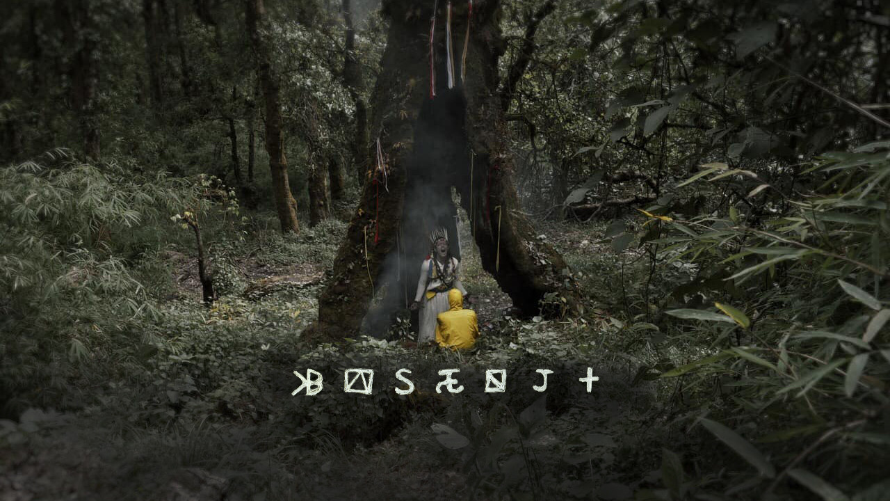 Backdrop for Basenji