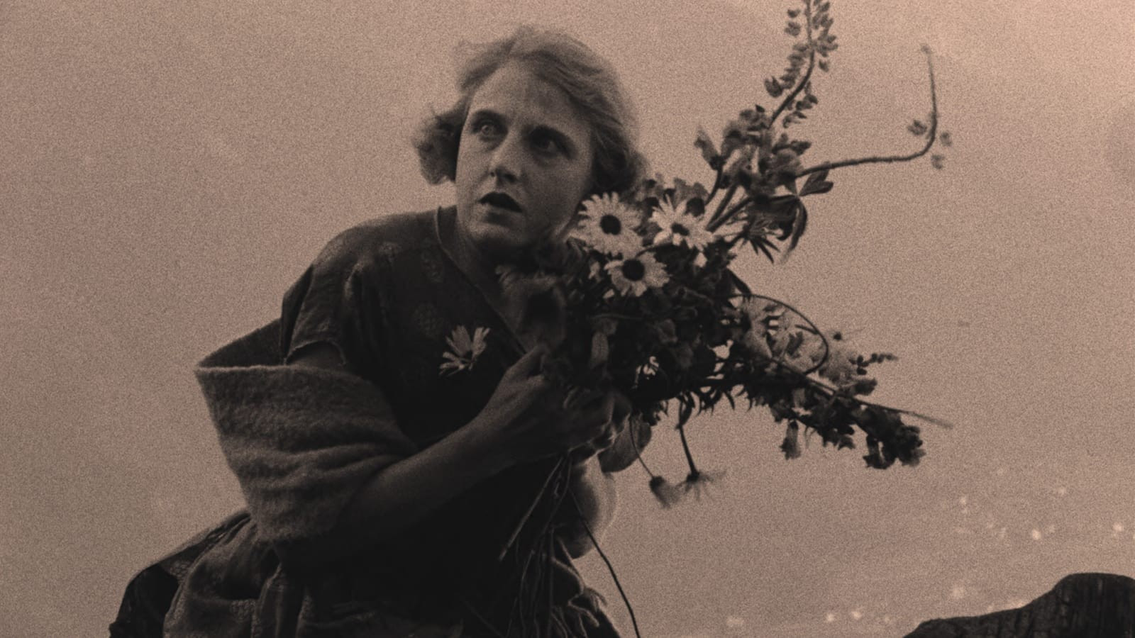 Backdrop for La Roue